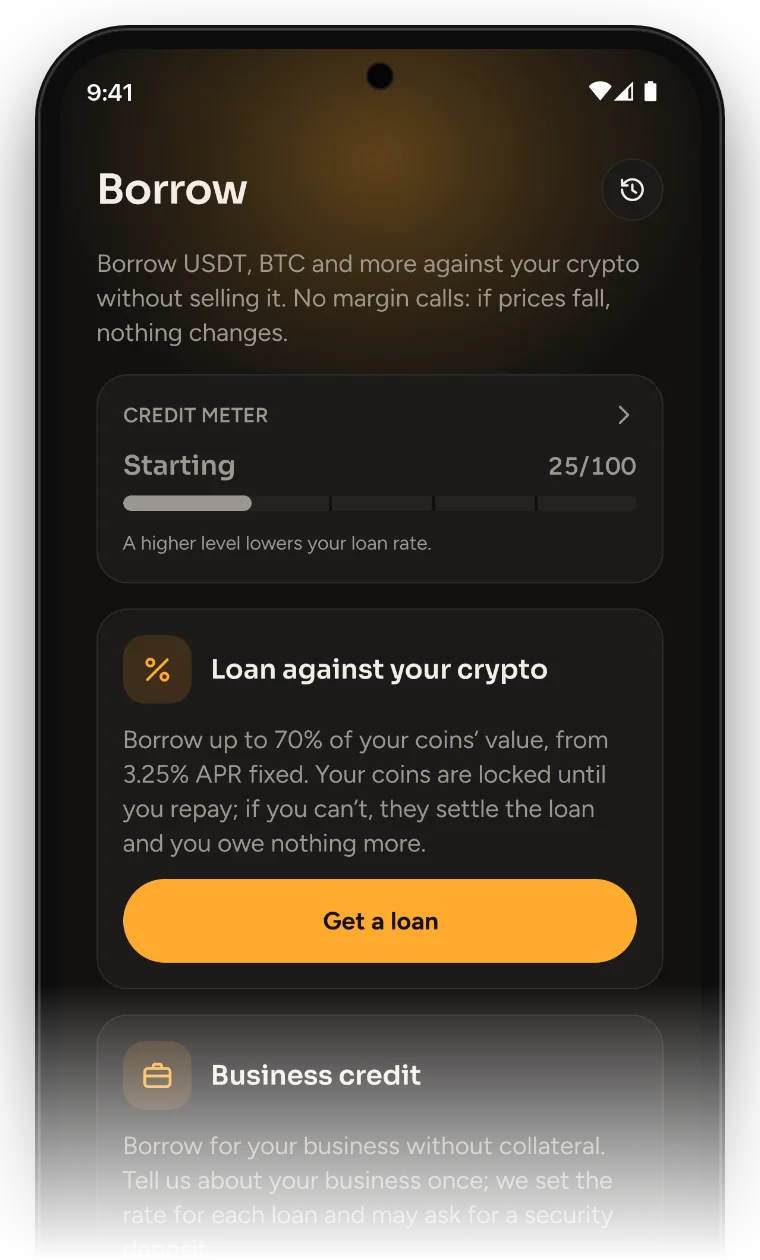 The Helio Borrow screen: the credit meter, a loan against your crypto from 3.25% APR, and business credit.